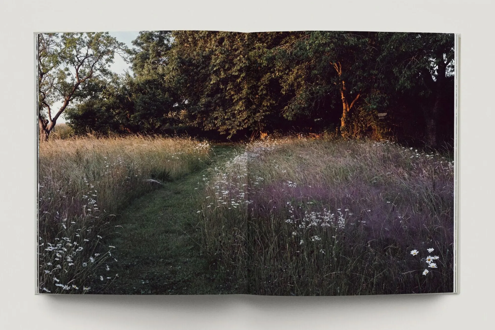 Garten & Natur|Ratgeber * Prestel Verlag Zu den Wiesen